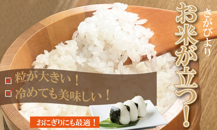 【4月配送】佐賀ブランド米「さがびより」５ｋｇ（5ｋｇ×1）潮風F