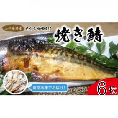 ふるさと納税 宇部市 簡単レンジであたため調理 焼きさば とくぢ味噌漬け 6枚