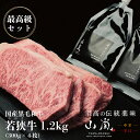 【ふるさと納税】若狭牛1.2kgと山嵐 辛口 最高級セット 冷蔵（さんきち精肉店・テラオライテック） / 送料無料 福井 越前市 肉 ステーキ 薬味 調味料 セット 和牛 伝統薬味 焼肉 アウトドア キャンプ バーベキュー(18209)