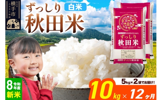 《令和8年産 新米受付》《定期便12ヶ月》秋田県 横手市産 ブレンド米【白米】10kg（5kg×2袋） [米 お米 こめ 白米 精米 ブレンド米 小分け ご飯 ごはん 秋田県産 横手市]