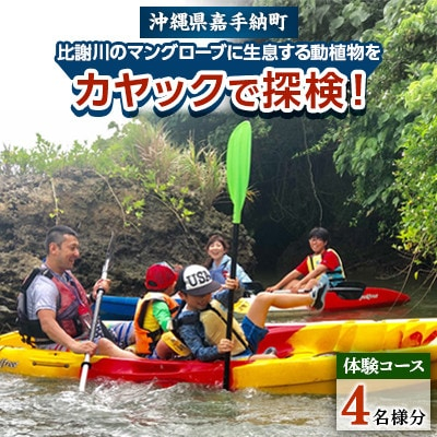 
＜4名様体験コース＞比謝川のマングローブに生息する動植物をカヤックで探検!【1399163】
