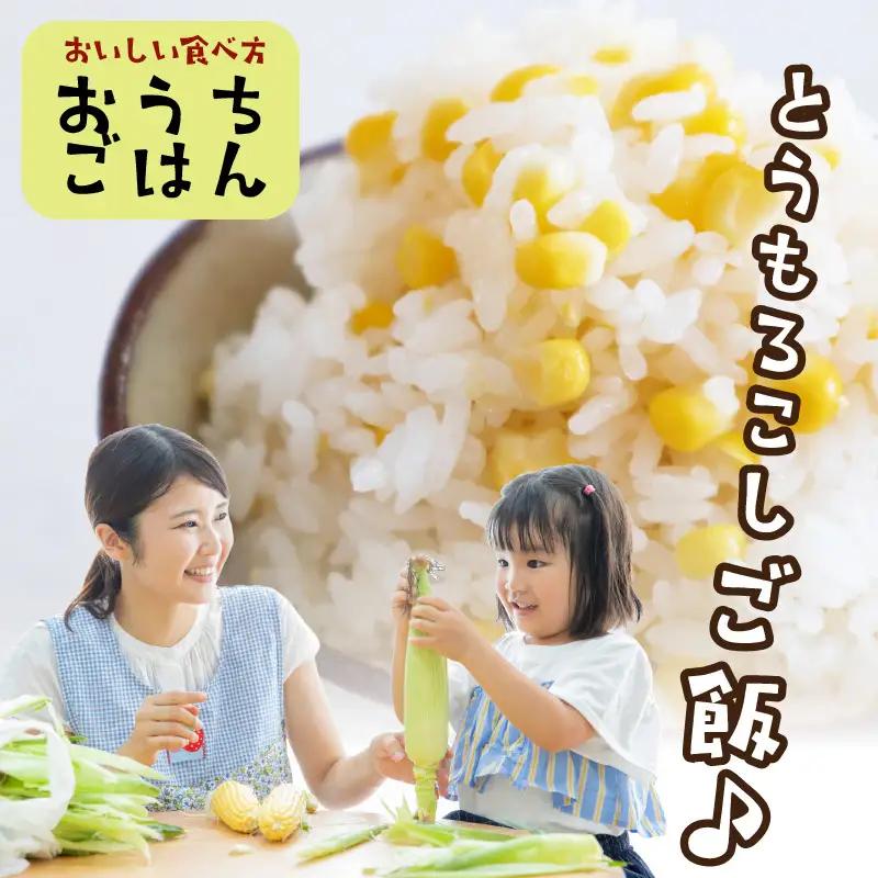 【先行予約】とうもろこし ホワイトコーン 10本 トウモロコシ