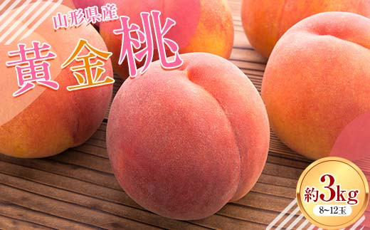 FYN6-114 ≪2025年先行予約≫山形県産 黄金桃 約3kg（8～12玉） 秀品 柔らかくなる 2025年8月中旬から順次発送 黄桃 黄色 桃 もも モモ 果物 くだもの 夏果実 フルーツ 産地直送 山形県 西川町 月山