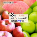 【ふるさと納税】【新鮮♪くだもの満腹定期便 （大箱セット）】桃・シャインマスカット・りんご 全3回（7～8月・9～10月・11～12月）《黒岩果樹園》■2024年発送■※7月中旬頃～12月下旬頃まで順次発送予定　定期便