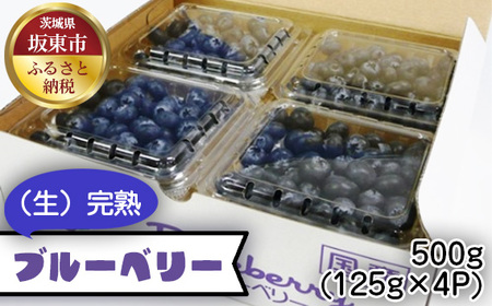 茨城県産　坂東市（生）完熟ブルーベリー500g（125g×4P） No.523
