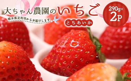 いちごの県フレッシュいちご 大ちゃん農園のいちご(とちあいか)290g×2パック いちご イチゴ 苺 デザート フルーツ 果物 くだもの 果実 食品 F7Z-1718