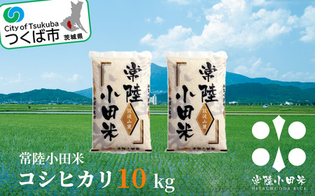 常陸小田米 10kg 茨城県つくば市産コシヒカリ【 茨城県 つくば市 コメ こめ 米 お米 ごはん コメ コシヒカリ コメ 地域ブランド米 農産物 グルメ コメ 精米 お取寄せ 米 米 米 】