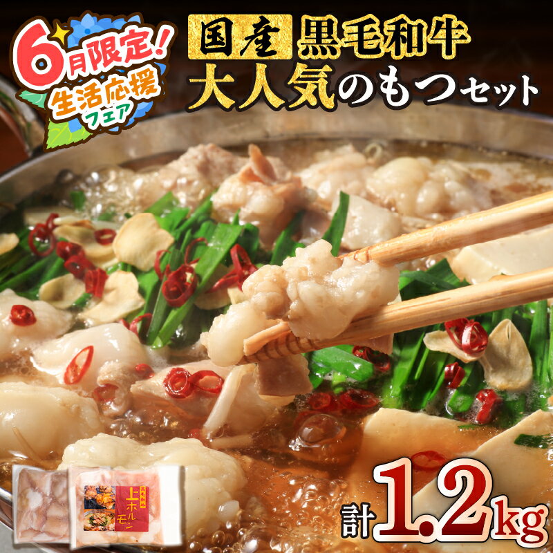 黒毛和牛 大人気 もつセット 送料無料 鹿児島市 九州 特産品 地域の品 お礼の品 贈り物 プレゼント ギフト 鮮度抜群 セット ホルモン 小腸 丸腸 牛モツ もつ鍋 串焼き 焼き肉 ホルモン揚げ 炒めもの 脂 甘み 旨味 小分け 個食パック 食べきりサイズ おすすめ