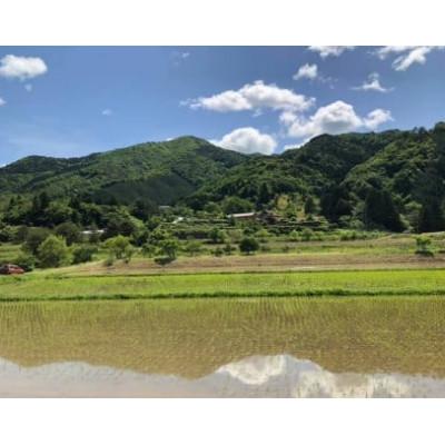 ふるさと納税 浜田市 浜田市弥栄町産の美味しいお米「秘境奥島根弥栄」つや姫　栽培期間中農薬5割減　5kg |  | 03