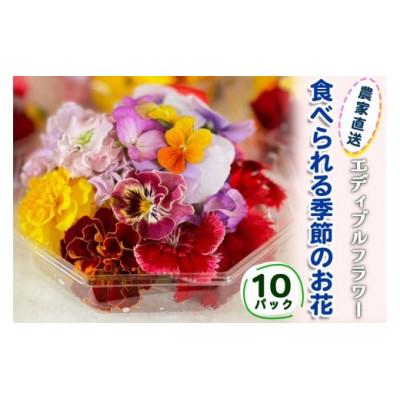 ふるさと納税 伊勢原市 農家直送!加藤さんちのエディブルフラワー 10パック (1パックあたり季節のお花15輪から30輪)