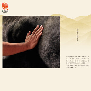 飛騨牛 ロースまたは肩ロース360g×2P=720g (すき焼き・しゃぶしゃぶ用)【配送不可地域：離島】【1042665】