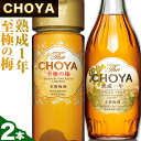 【ふるさと納税】The CHOYA 熟成一年 700ml The CHOYA 至極の梅 650ml 計2本 セット 飲み比べ 羽曳野商工振興株式会社《30日以内に出荷予定(土日祝除く)》大阪府 羽曳野市 送料無料 梅酒 梅 酒 CHOYA チョーヤ チョーヤ梅酒 お酒 紀州 南高梅