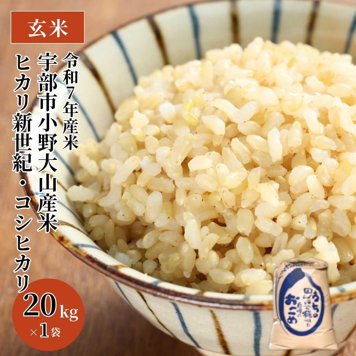 【ふるさと納税】令和7年産米 宇部市小野 大山産米 玄米20kg | 玄米 20kg 健康 ビタミン 豊富 食生活 ダイエット コシヒカリ ヒカリ新世紀 湧水 大山米 米 ご飯 おにぎり お弁当 水 令和7年産 山口県 宇部市[BTBW004]