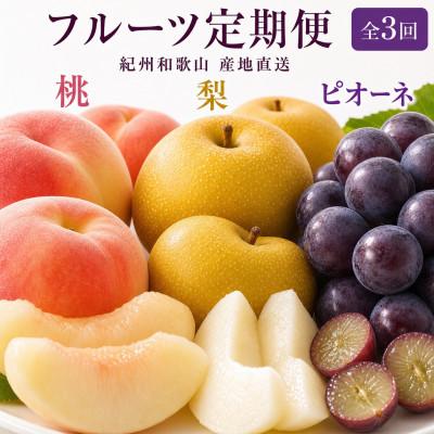 ふるさと納税 由良町 【発送月固定定期便】紀州和歌山産旬のフルーツセット(桃・梨・ピオーネ)全3回