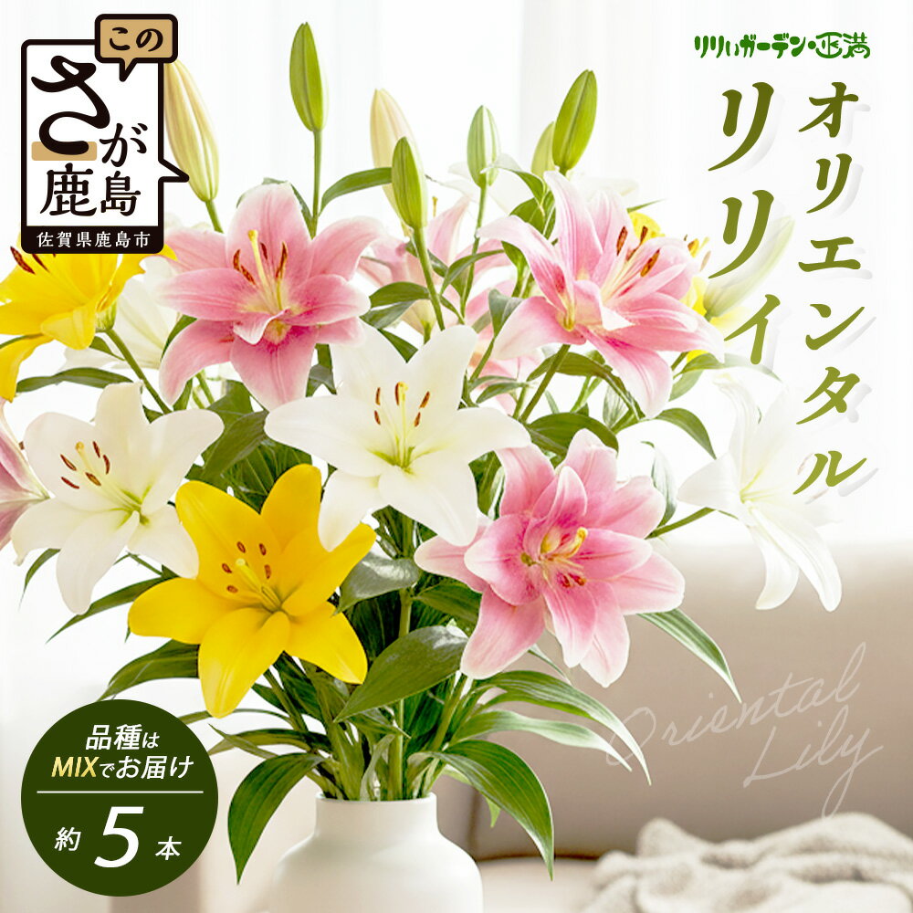 【ふるさと納税】★5.0高評価 オリエンタルリリィ(約5本)【生産者直送】幸せと笑顔を届けるオリエンタルリリィ ユリ 百合 花 切り花 フラワー 艶やか 美しい 華やか 可憐 鮮やか 長持ち 強い 有機肥料 人気 ラッピング プレゼント 贈り物 贈答 佐賀県 鹿島市 送料無料 B-313
