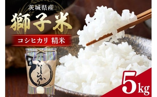 【1月発送】コシヒカリ 精米 5kg お米 米 こめ コメ 精米 白米 ご飯 ごはん 茨城県 石岡市 B02-068