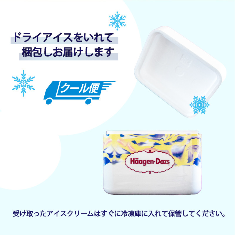 定番フレーバー ハーゲンダッツ バー セット 12本入 バニラチョコレートマカデミア ｜ ハーゲンダッツ アイスクリーム ギフト セット 詰め合わせ バニラチョコレートマカデミア 愛媛県 松前町