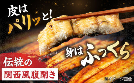 国産活うなぎ4尾（白焼）[AQDF013]鰻鰻鰻鰻鰻鰻鰻うなぎうなぎうなぎうなぎうなぎうなぎ