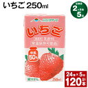 【ふるさと納税】【定期便】【2ヶ月毎5回】いちご 250ml 24本 計120本（24本×5回） いちごミルク いちご果汁 苺 イチゴ 牛乳 乳飲料 ジュース ドリンク 熊本県産 国産 九州 熊本県 菊池市 送料無料