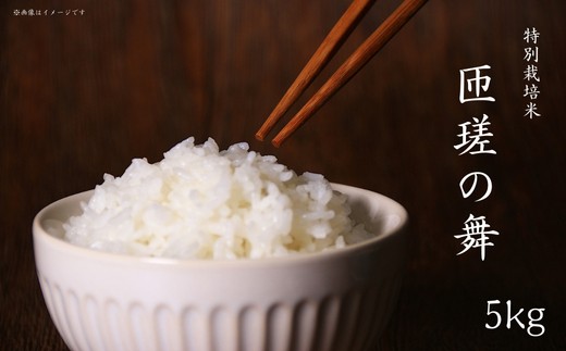 令和7年産　米　5kg　匝瑳の舞　精米 ／ お米 コメ こめ ごはん ふさこがね 白米 精米 5kg チバエコ 特別栽培 千葉県 匝瑳市