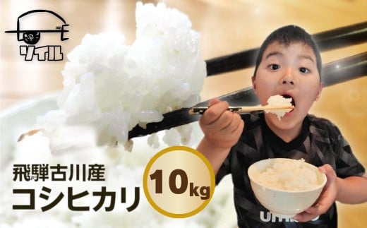 【2026年先行予約】令和8年産 2026 新米 飛騨古川産　特別栽培米　こしひかり 10kg コシヒカリ 新米 お米 米 精米 ごはん ご飯 特A 米不足  ソイル