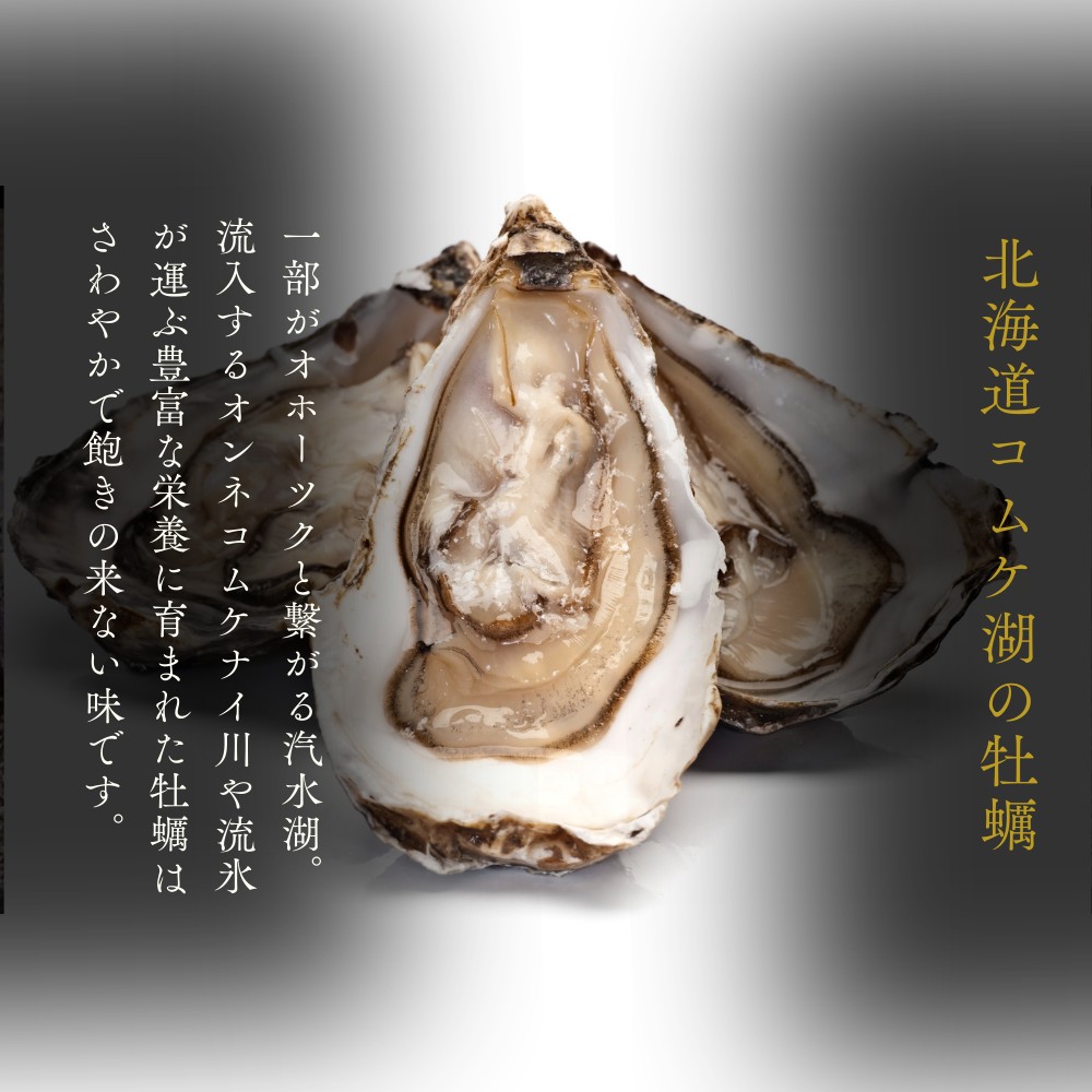 12-301 【年内発送12月15日入金まで】お米つきですぐに作れる「紋別漁師食堂」北海道 牡蠣めし ｜ 北海道 グルメ ギフト 無添加 炊き込みごはん 海鮮 within2025