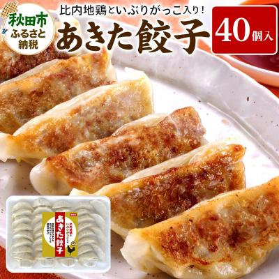 ふるさと納税 秋田市 餃子 あきた餃子(40個) 比内地鶏 いぶりがっこ 入り 無限堂 惣菜|15_mgd-014001