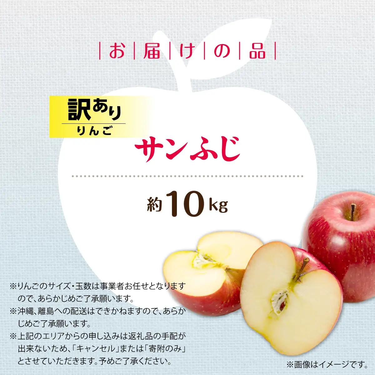 【ふるなびWEEK対象】【先行予約】＜2026年12月上旬よりお届け＞北海道壮瞥町　【訳あり】りんご　品種名「サンふじ」約10kg SBTF030