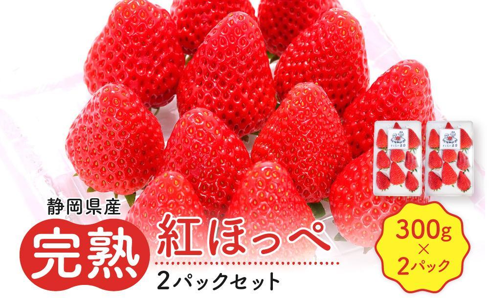 先行受付【静岡県産いちご】完熟紅ほっぺ2パックセット（300g×2パック）【2026年1月下旬以降発送予定】