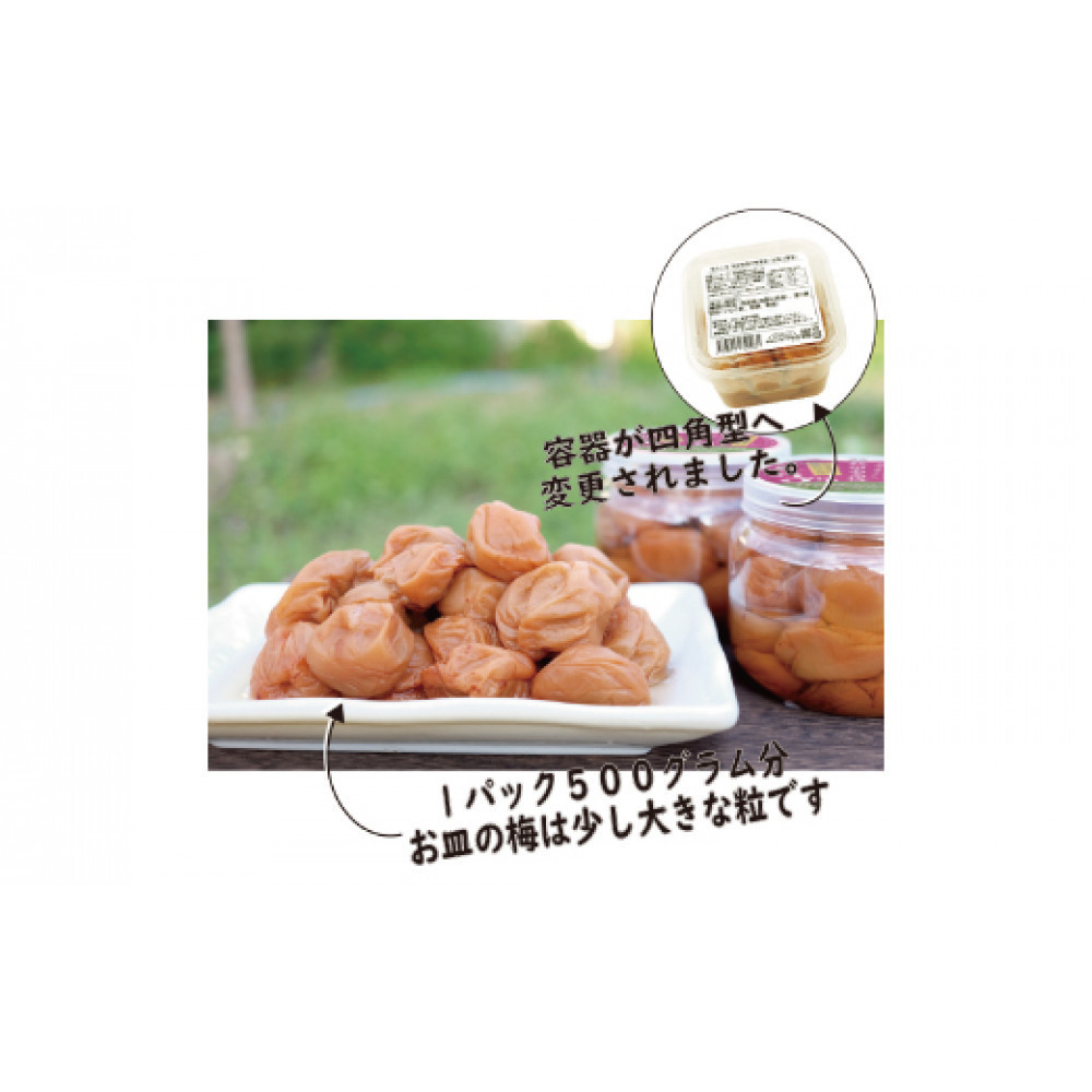 訳あり 無添加 梅干し 紀州梅香の減塩3%つぶれ梅 約1kg(500g x 2) 中~大粒 はねだし梅 紀州南高梅 産直) 3-G［KU3］