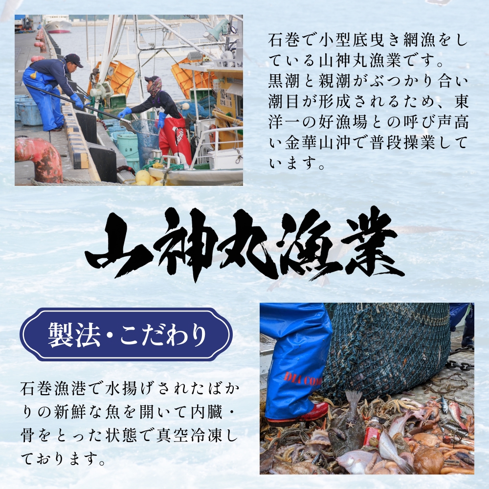 アナゴ 2パック 穴子 あなご 魚介 魚介類 海鮮 下処理済 直送 新鮮 冷凍 焼き物 煮付け フライ