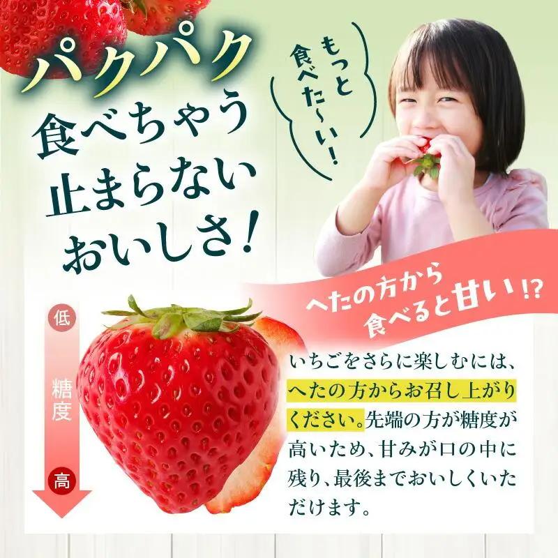 大粒厳選(1粒20g以上)!さぬきひめいちご 約1kg【2027-3月上旬～2027-3月下旬配送】
