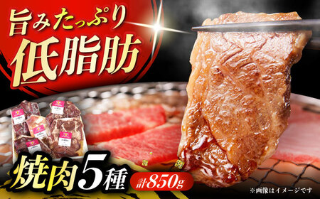 北海道 北十勝 短角牛 焼肉5種セット 計850g（タン・ミックスホルモン・サガリ・ハツ・レバー）《足寄町》【北十勝ファーム】肉 焼肉 焼肉用 食べ比べ セット 詰め合わせ タン ホルモン 北海道産 あしょろ 北海道 [BEAI001]