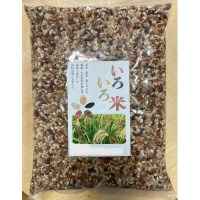 【ふるさと納税】いろいろ米(玄米)5kg【1568876】