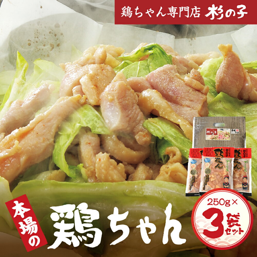 【ふるさと納税】鶏ちゃん専門店「杉の子」味付き鶏ちゃん 250g×3袋／5袋／10袋 下呂温泉 おすすめ バーベキュー BBQ アウトドア 鶏肉 けいちゃん ケイちゃん 鶏ちゃん 冷凍 冷凍配送 味付け 焼くだけ 鶏肉料理 おかず 惣菜 時短 簡単料理 ケンミンショー 恵那鶏 ブランド肉