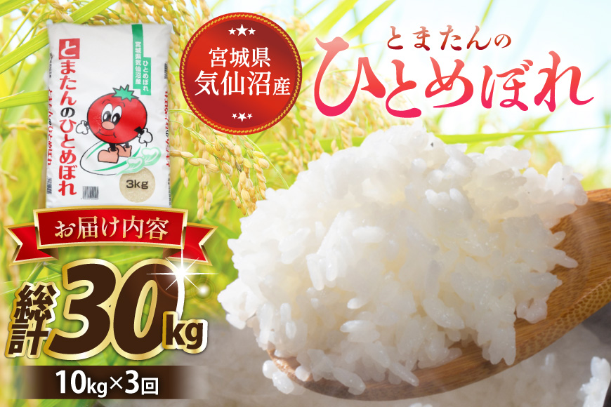 3回 定期便 米 宮城県産 とまたんのひとめぼれ 10kg (5kg×2袋) 総計30kg [サンフレッシュ小泉農園 宮城県 気仙沼市 20566086] ひとめぼれ ブランド米 白米 精米 ご飯 ご