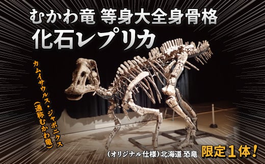 
むかわ竜等身大全身骨格化石レプリカ（オリジナル仕様）北海道　恐竜　限定1体！
