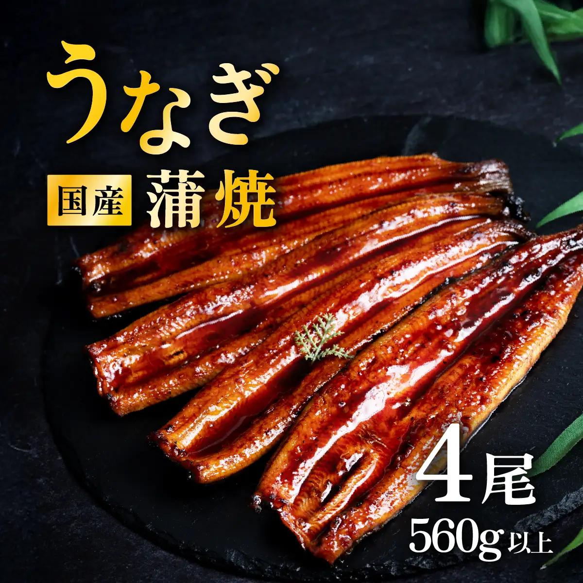 うなぎ 国産 蒲焼き 4尾 560g以上 上うなぎ 9月発送
