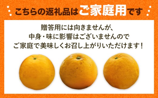 爽快柑橘 有田育ちの爽やか柑橘 ご家庭用 河内晩柑 3.5kg 有田マルシェ 先行予約《2027年4月上旬-5月下旬頃出荷》 和歌山県 日高町 晩柑 和製グレープフルーツ 訳あり 旬 柑橘 フルーツ 