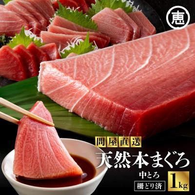 ふるさと納税 三浦市 まぐろ専門の老舗問屋からお届け!とろける!上質 天然本まぐろ中トロ1kg!三崎港から 海鮮丼