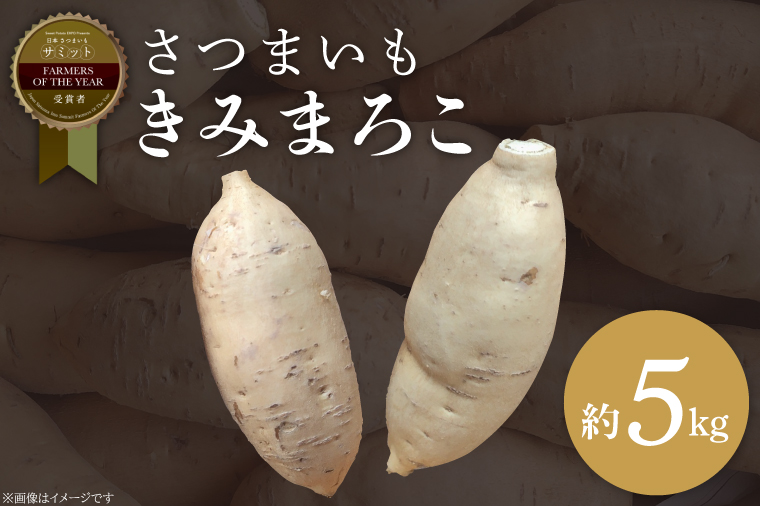 さつまいも きみまろこ 約5kg｜茨城県 行方市 ふるさと納税 芋 いも さつまいも サツマイモ さつま芋 お芋 おいも きみまろこ 5kg 10000円 1万円 渋谷農園 さつまいも博(BZ-44)