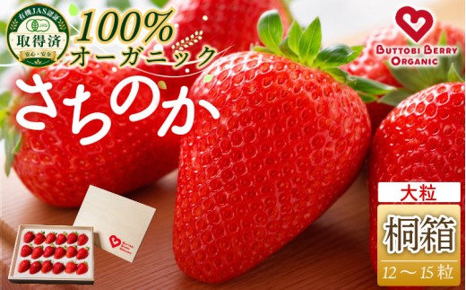オーガニック いちご 大粒 約12～15粒 桐箱入り 《1月末から5月発送》 有機JAS認証 ORGANIC 甘い 苺 イチゴ 果物 フルーツ 産地直送 新鮮 ストロベリー ジャム スムージー 期間限定 徳島 無農薬 完全無農薬 人気 ギフト プレゼント 贈答用 ケーキ スイーツ