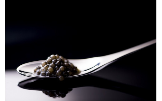 宮崎キャビア MIYAZAKI CAVIAR 1983 20g 国産 「ジャパン キャビア」＜4.5-1＞魚介類 魚卵 三大珍味 宮崎県西都市 決済完了より30日以内の発送