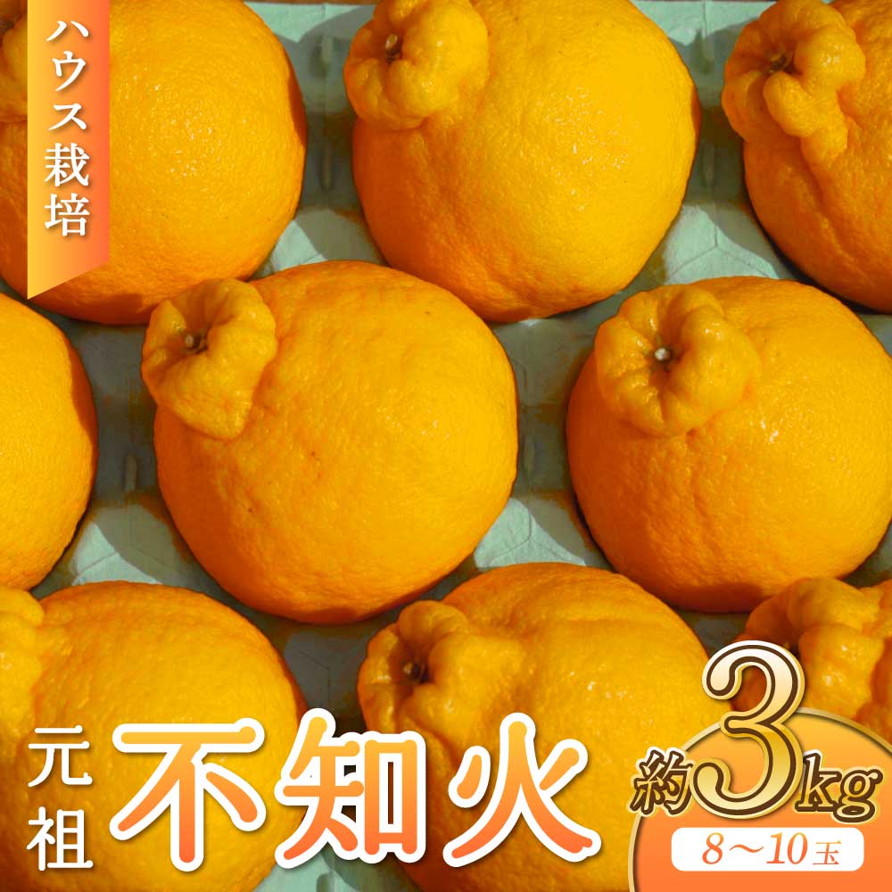 【ふるさと納税】【先行予約】 ハウス栽培 元祖不知火 約3kg 8-10玉 【2026年3月上旬から2026年4月下旬発送予定】 玉揃え しらぬい 柑橘 蜜柑 みかん ミカン 果物 くだもの フルーツ 宇城市産 熊本県産 九州産 国産 送料無料 株式会社on the soil
