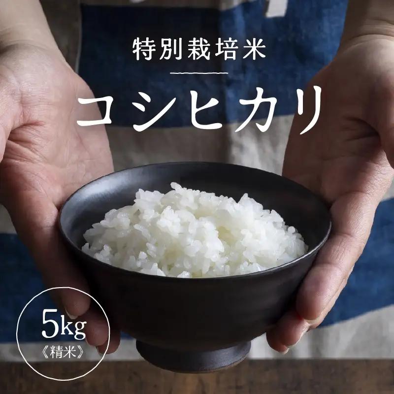 【先行予約】【令和8年産】 特別栽培米 コシヒカリ 精米 5kg×1袋（計5kg）※2026年9月下旬より順次発送 [aw121-a004]