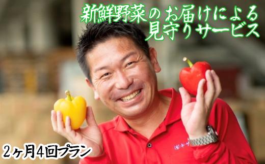 お野菜イメージ