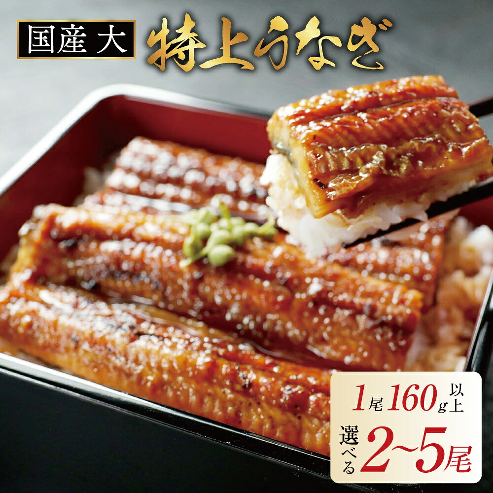【ふるさと納税】 高評価 ★4.6 国産 大 特上 うなぎ 2尾 ～ 5尾 【発送時期が選べる】 合計 320g ～ 800g 以上（ ふるさと納税 うなぎ 美味しい 鰻 国産 鰻 ふるさと 訳あり 蒲焼 うなぎの蒲焼き 惣菜 湯せん レンジ 簡単調理 小分け 北海道 別海町 お歳暮 ）