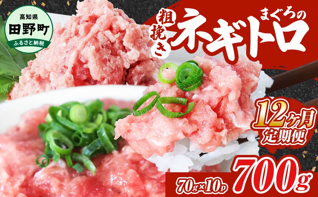
                  まぐろのネギトロ 700g（70g×10パック）×12ヶ月定期便 ねぎとろ 鮪 マグロ キハダマグロ まぐろたたき 粗挽き 小分け パック 海鮮 魚介 便利 高知県 田野町 ～四国一小さなまち～ ≪カネアリ水産≫ 
                