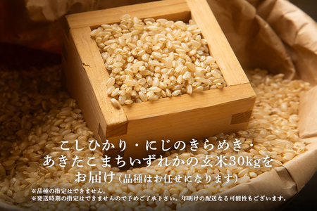 【12月限定】生活応援！ 獅子米 30kg 玄米 お米 米 おまかせ こしひかり にじのきらめき あきたこまち ご飯 ごはん 産地直送 国産 茨城県 石岡市 B02-089