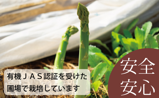 2026年産予約受付　北海道産アスパラガス  1kg　有機栽培【AO-002】